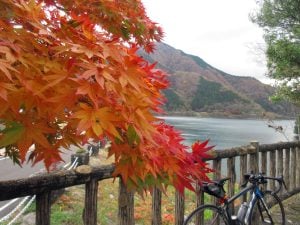 10月は自転車事故のピーク!事故が増える時期に気を付けたいこと | 商品紹介