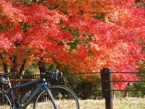 秋はサイクリングに持ってこい! 快適な自転車シーズン到来‼️ | 商品紹介
